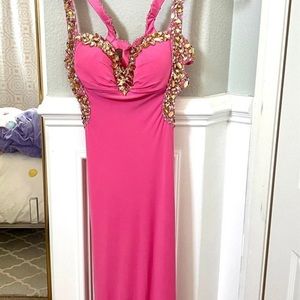 pink dress NWT Vienna